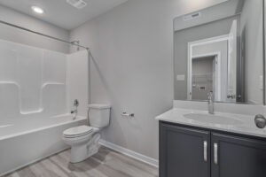 A contemporary bathroom features a bathtub with a shower, a toilet, and a vanity with a sink and mirror. The room is illuminated by recessed lighting and has a gray and white color scheme.