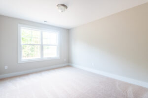 Minimalist empty room with beige carpet, light gray walls, and a ceiling light fixture. Sunlight filters through a large window with a white frame, providing a view of trees outside.