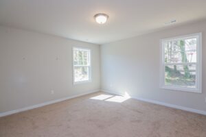 Empty room with beige carpet, light gray walls, two windows, and a ceiling light fixture.