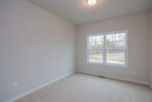 Empty room with beige carpet, light gray walls, a ceiling light, and a window showing trees outside.