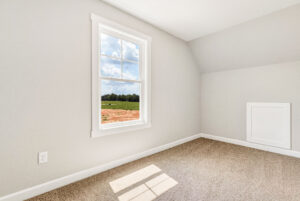 Bright, empty room with beige carpet, a window showing a field and trees, and white walls.