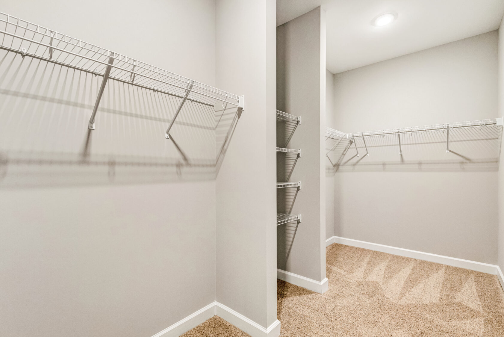 Empty walk-in closet with white wire shelving on beige carpet and light-colored walls.
